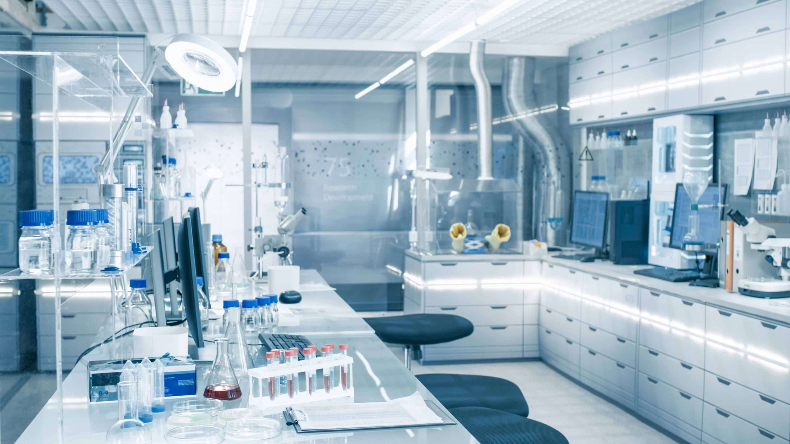 Fertility IVF
